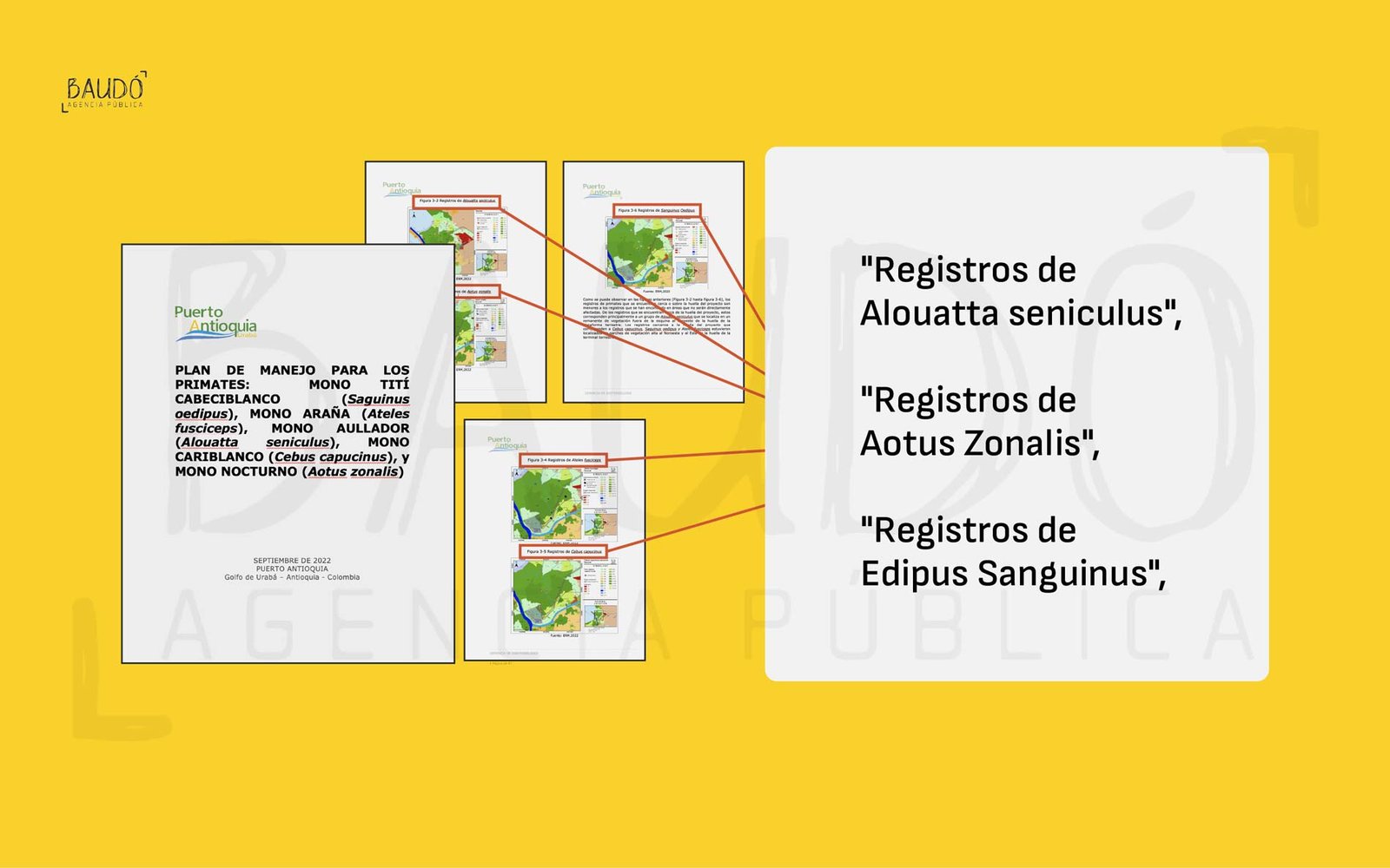 Registros de los monos